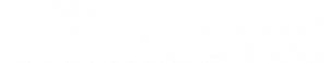 Universidad UniverMilenium